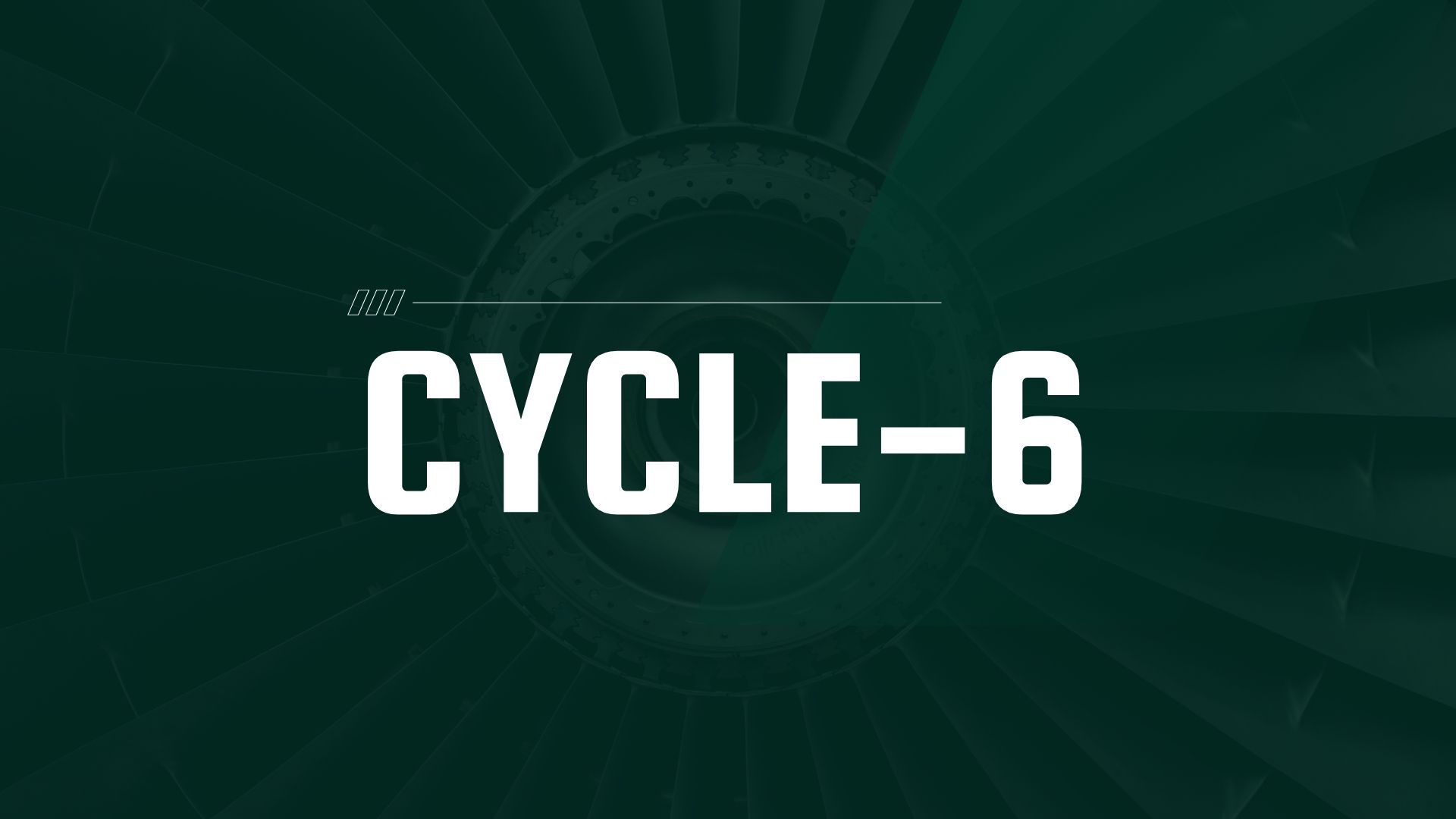 Cycle 6